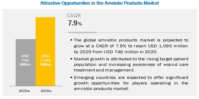 Amniotic Products Market