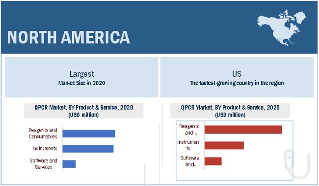 dPCR and qPCR Market